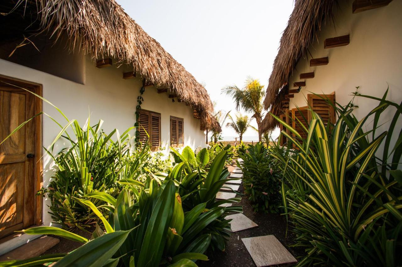 ホテル Paredon Surf House El Paredón Buena Vista エクステリア 写真