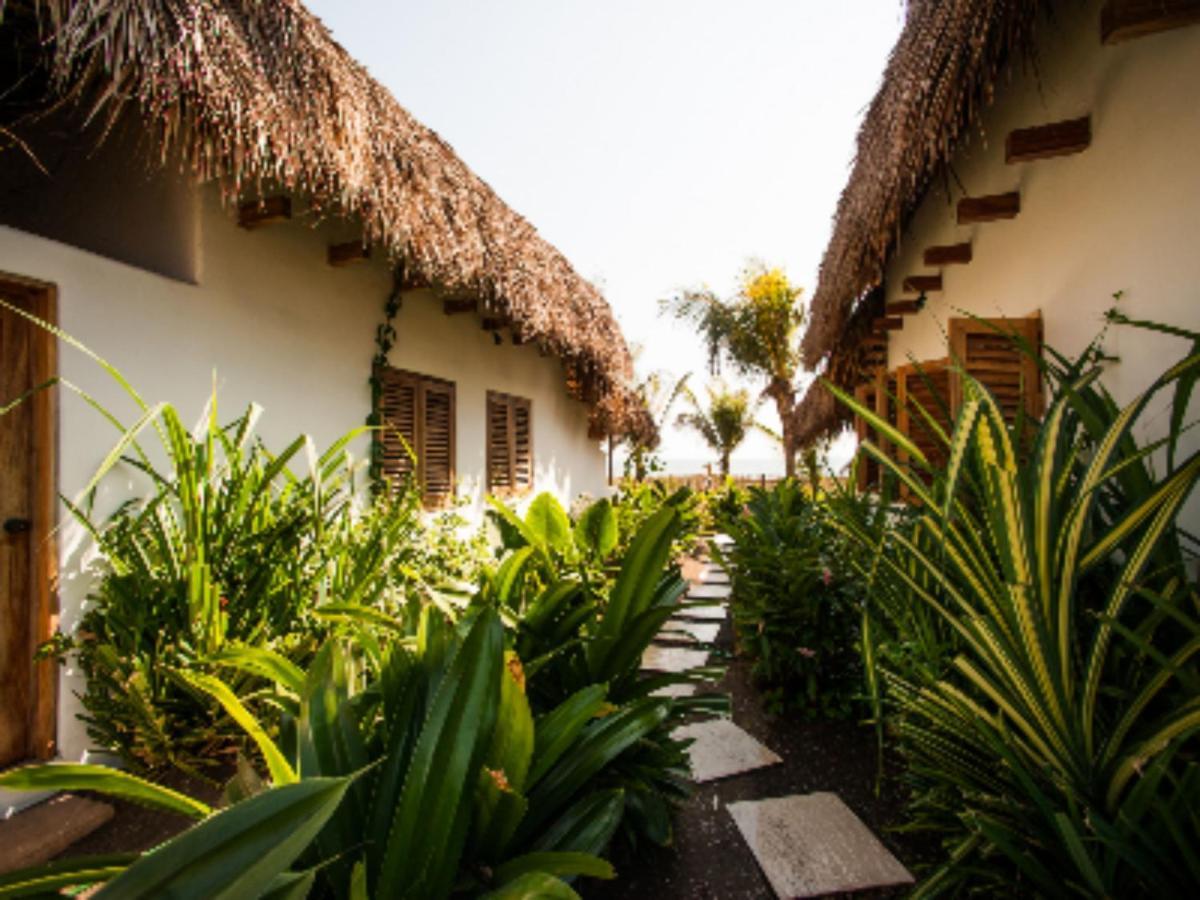 ホテル Paredon Surf House El Paredón Buena Vista エクステリア 写真