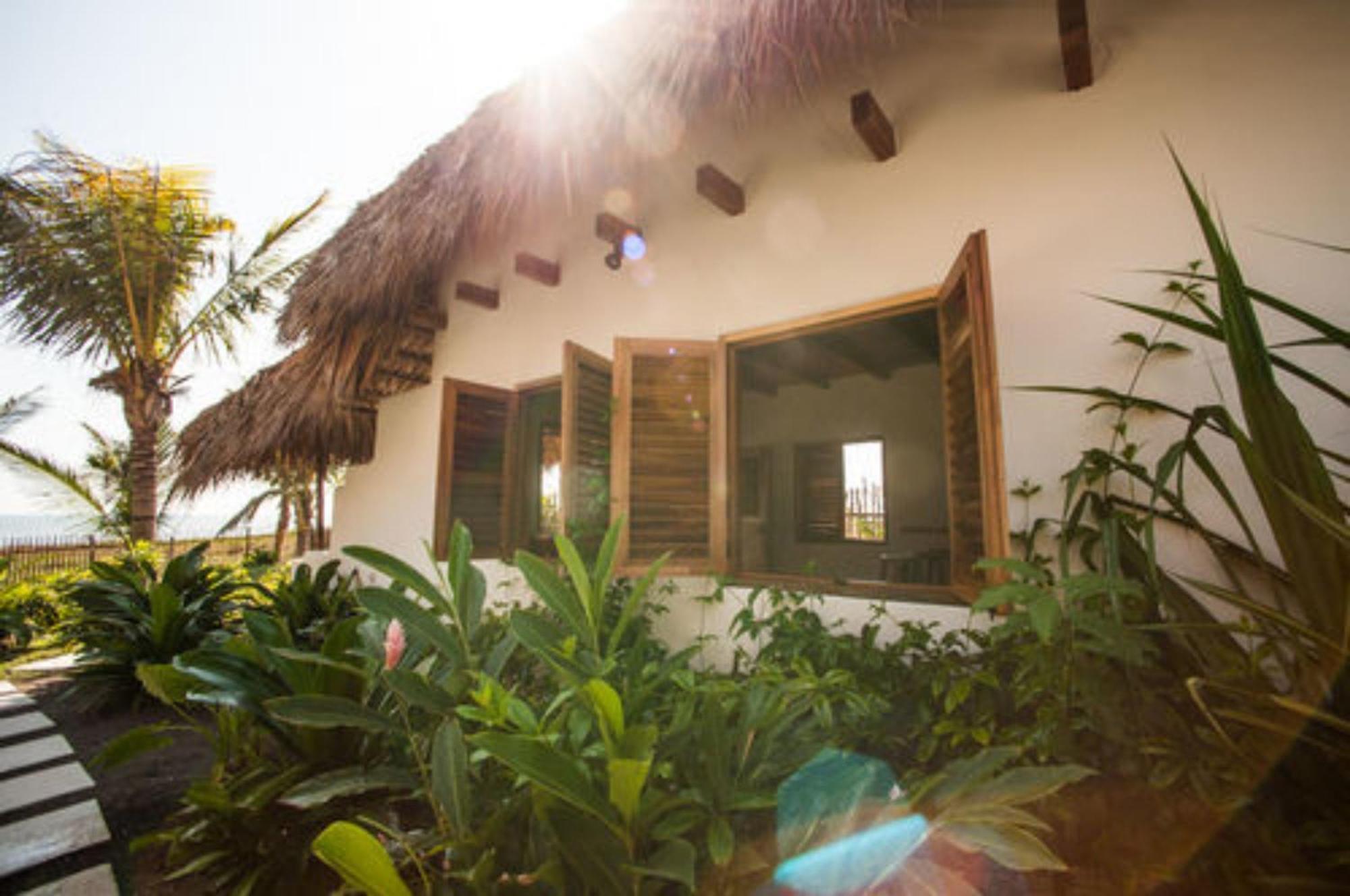 ホテル Paredon Surf House El Paredón Buena Vista 部屋 写真