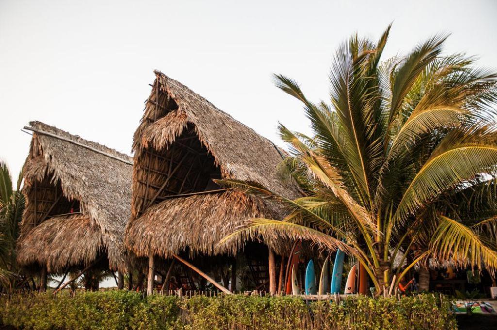 ホテル Paredon Surf House El Paredón Buena Vista 部屋 写真