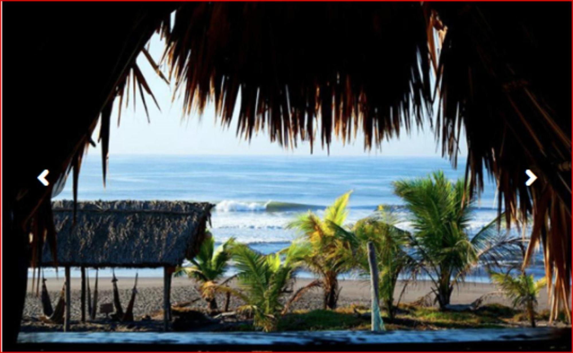 ホテル Paredon Surf House El Paredón Buena Vista 部屋 写真