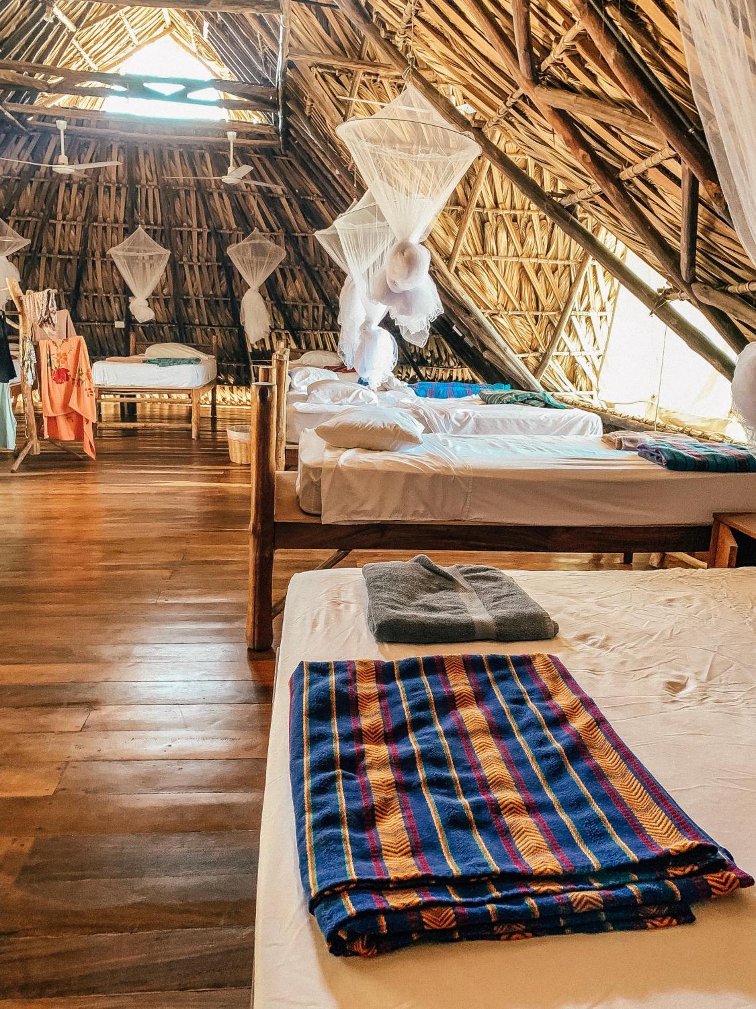 ホテル Paredon Surf House El Paredón Buena Vista 部屋 写真