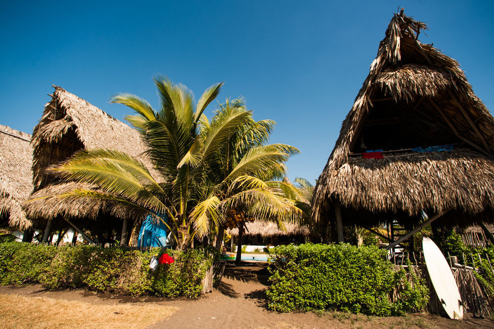 ホテル Paredon Surf House El Paredón Buena Vista エクステリア 写真